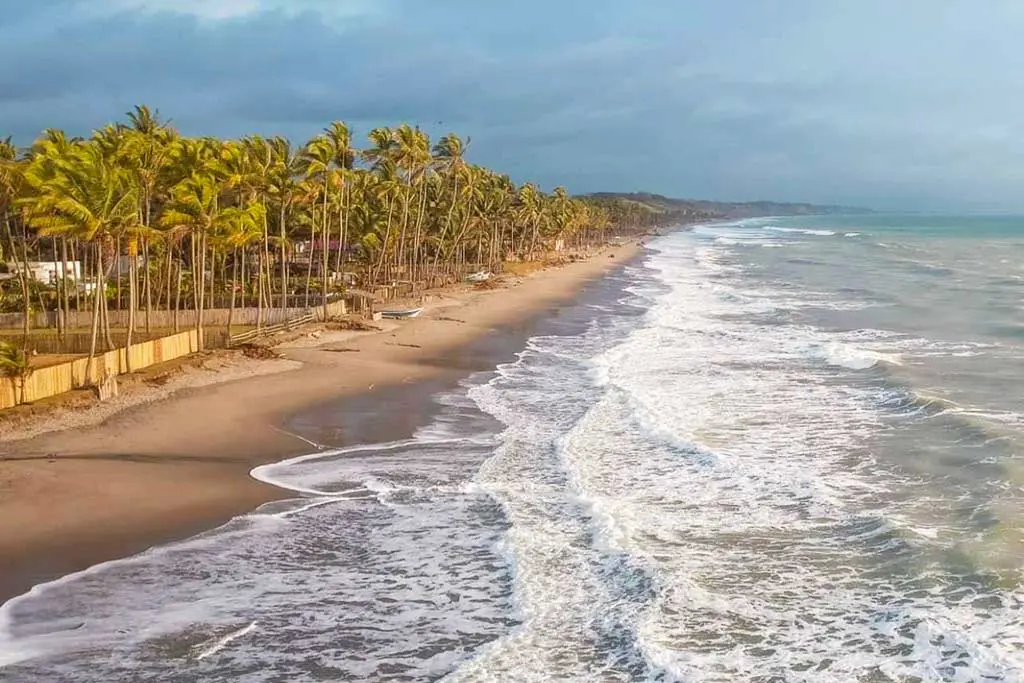 Mar y palmeras en la costa de Pedernales